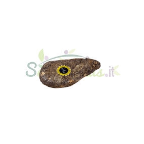 Guanciale intero