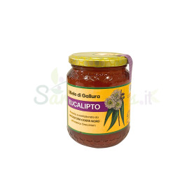 Miele di Eucalipto