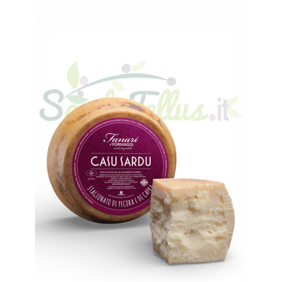 Casu sardu