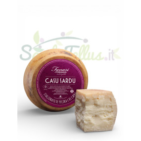 Casu sardu