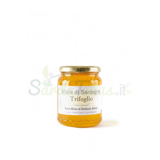 Miele di Sardegna - Trifoglio